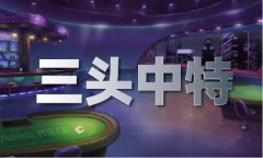 将其涉嫌犯罪问题移送查察机关依法审 
